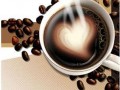 斐塔咖啡 价格适中广受消费者好评