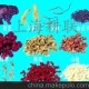 厂家直销 GLFS-100g 咖啡机