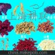 厂家直销 GLFS-100g 原汁机榨汁机