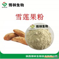 雪莲果提取物 植物提取物  雪莲果粉10:1