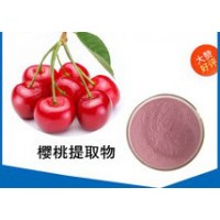 南箭 樱桃果粉---健康营养品 （量多质优现货） 樱桃果粉价格