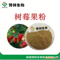 优质树莓果粉|提取物10：1 20：1 树莓苷 覆盆子提取物