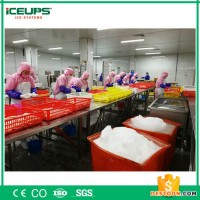 食品加工制冰机 日产量25吨 水产加工用制冰机 大型片冰机 制冰机