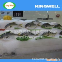 广州日产5吨片冰机 快速制冰机 工业制冰机
