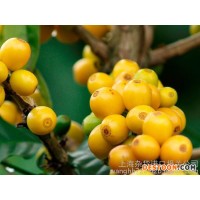 上海巴西咖啡豆进口报关流程