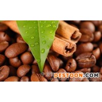 宁波咖啡豆进口报关流程