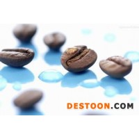 浙江进口咖啡豆清关费用和所需单证
