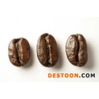 长沙上海进口咖啡豆清关公司介绍