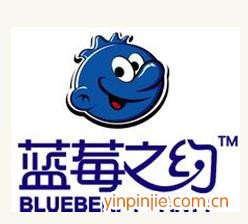 蓝莓之约