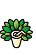 帅果奶茶