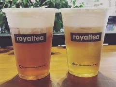 代理加盟皇茶奶茶怎么样？