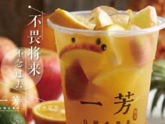 如果加盟一芳水果茶，可以获得哪些政策扶持?