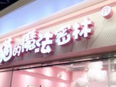 猫的魔法密林加盟6大核心优势，你值得拥有!