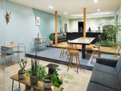 饮品如何加盟？怎么样经营奶茶店？