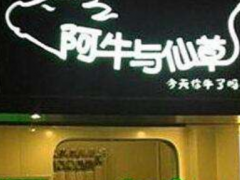广州加盟阿牛与仙草奶茶怎么样?