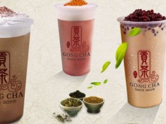 如何分辨正宗奶盖贡茶加盟？