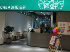 加盟开奶茶店就选启鲜奶茶！