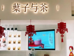 叶子与茶这个品牌加盟支持有哪些？