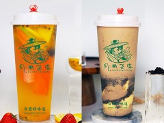 投资加盟纤风茶客奶茶好选择好未来