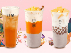 选择谷芋奶茶的话加盟有哪些基本要素