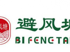 避风塘奶茶铺费用是多少？