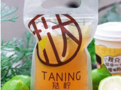 挞柠柠檬茶奶茶是怎么吸引那么多创业者