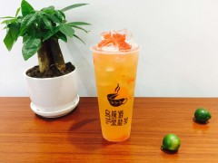 没有经验可以加盟乌煎道黑龙茶吗？