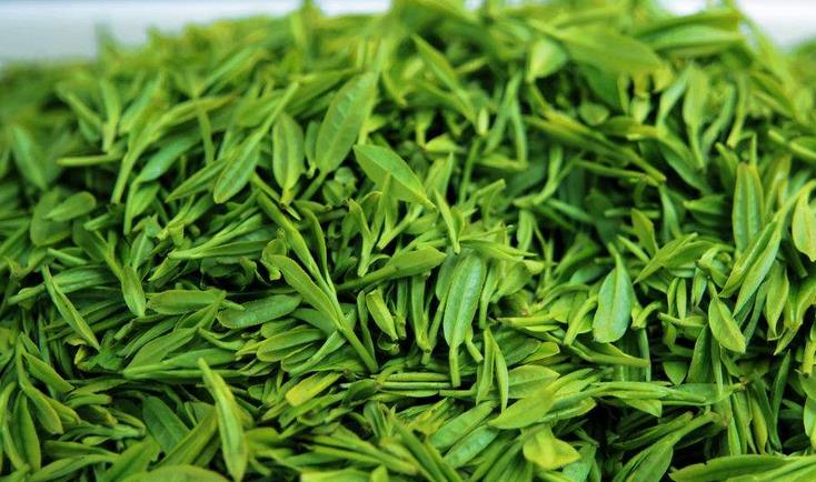 福建绿叶茶业股份有限公司新茶实拍