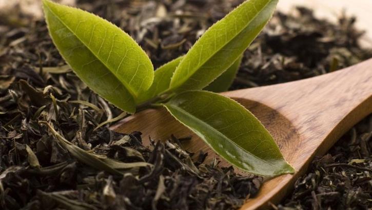 柘荣县精茗茶叶有限公司茶叶