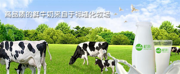 榕昕鲜奶吧加盟