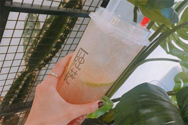 烛芒新派茶饮新品