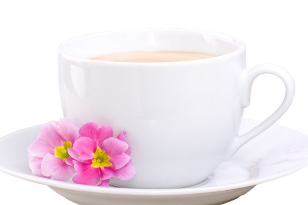 茶风奶茶时尚