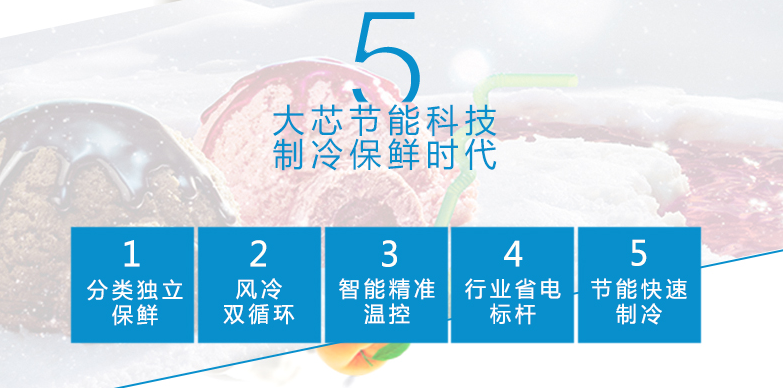 北极洋牌冰淇淋柜