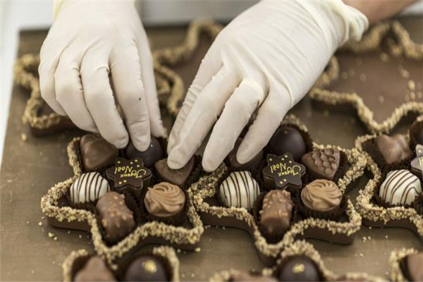 cocoloves手工巧可力样品