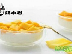 奶小君代餐酸奶加盟费多少？奶小君代餐酸奶加盟怎么样？