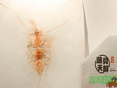 潮贝天鲜甲骨纹加盟条件是什么？潮贝天鲜甲骨纹加盟好不好？