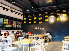 Oolong乌龙怎么样？超高人气羡煞旁人！