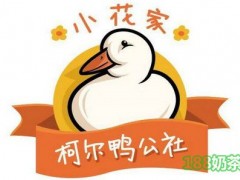 小花家柯尔鸭公社饮品加盟