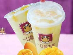 一口酸牛奶店能挣钱吗？大连一口酸牛奶年入17.16万元！【表】