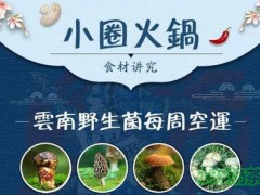 小圈火锅加盟