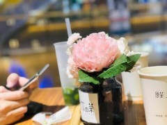 上饮の茶加盟怎么样？开一家上饮の茶成本多少钱？