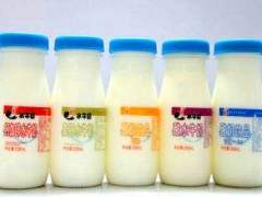 左江水牛奶口碑怎样？加盟有市场吗？