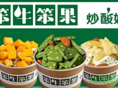 笨牛笨果炒酸奶加盟费多少钱?6万+2人开店_上门指导【表】