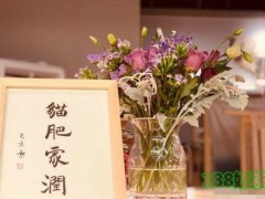 在杭州开一家喵匠猫咖馆成本多少？4.8万就能撸猫！【表】