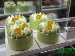 摩点蔓柠加盟费多少?摩点蔓柠加盟怎么样?
