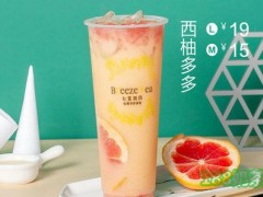 七里微风台湾手作茶加盟