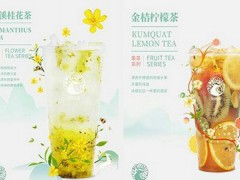 茶枝花露好吗？茶枝花露加盟费多少钱？