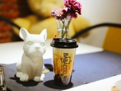 加盟八八酷茶·吐司好不好？总部提供哪些支持？