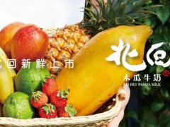 北回木瓜牛奶加盟费是多少？未来收益如何？