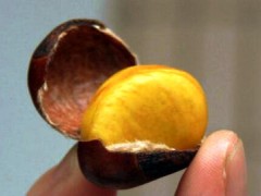 盛文甘栗是全国连锁吗？盛文甘栗加盟骗局真的假的？